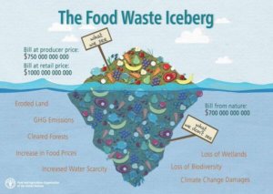 Food Waste Iceberg