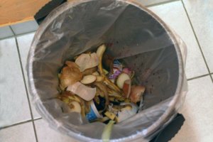 Food in rubbish bin