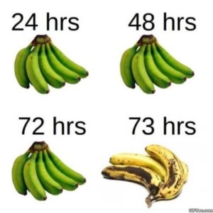 banana aging meme