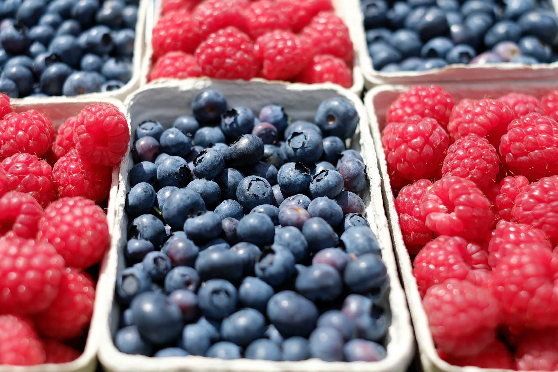 How to Keep Berries Fresh for Longer