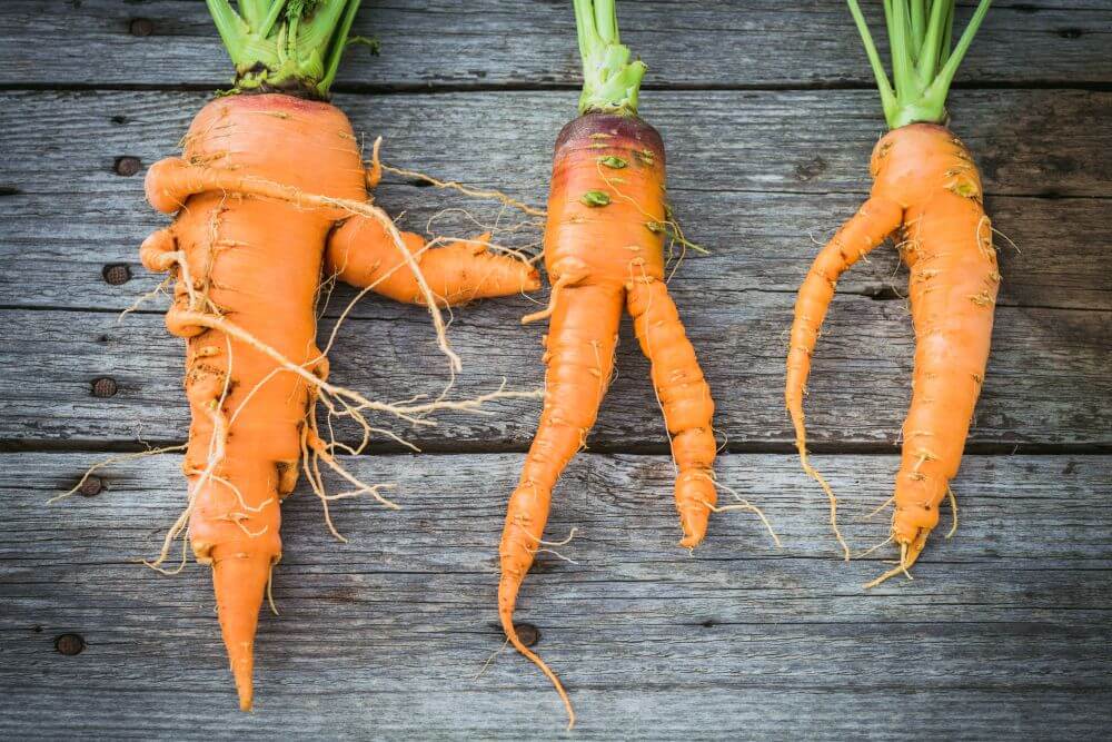 8 ways to use limp or crooked carrots