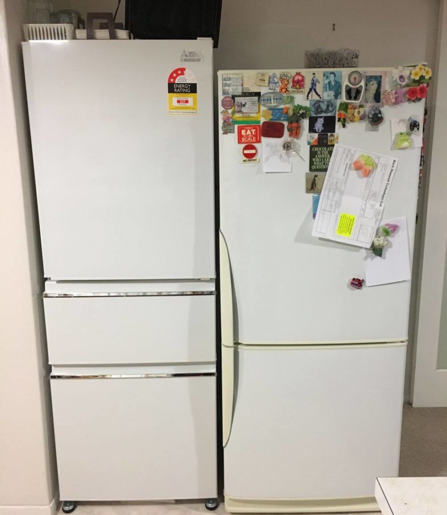 Anne fridge 1000