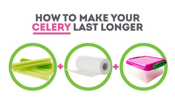 Celery storage guide