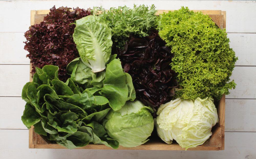 Don’t Bag Lettuce: Everything you need to know about how to store salad greens