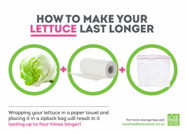 Lettuce storage