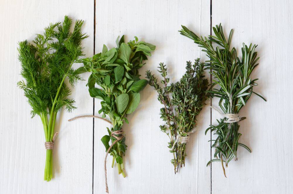 How to store fresh herbs