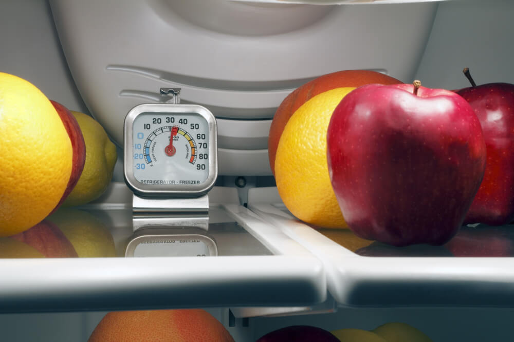 track your refrigerator's temperatures