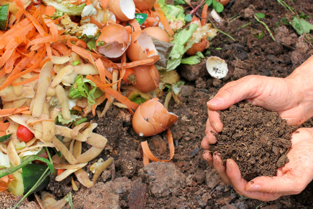 How I Compost at Home using a Bokashi System - The Green Hub