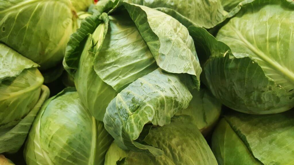 8 ways with cabbage
