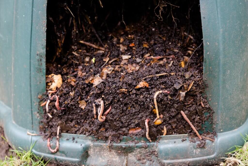 Home composting and worm farming