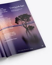 Glossy or coloured paper and magazines