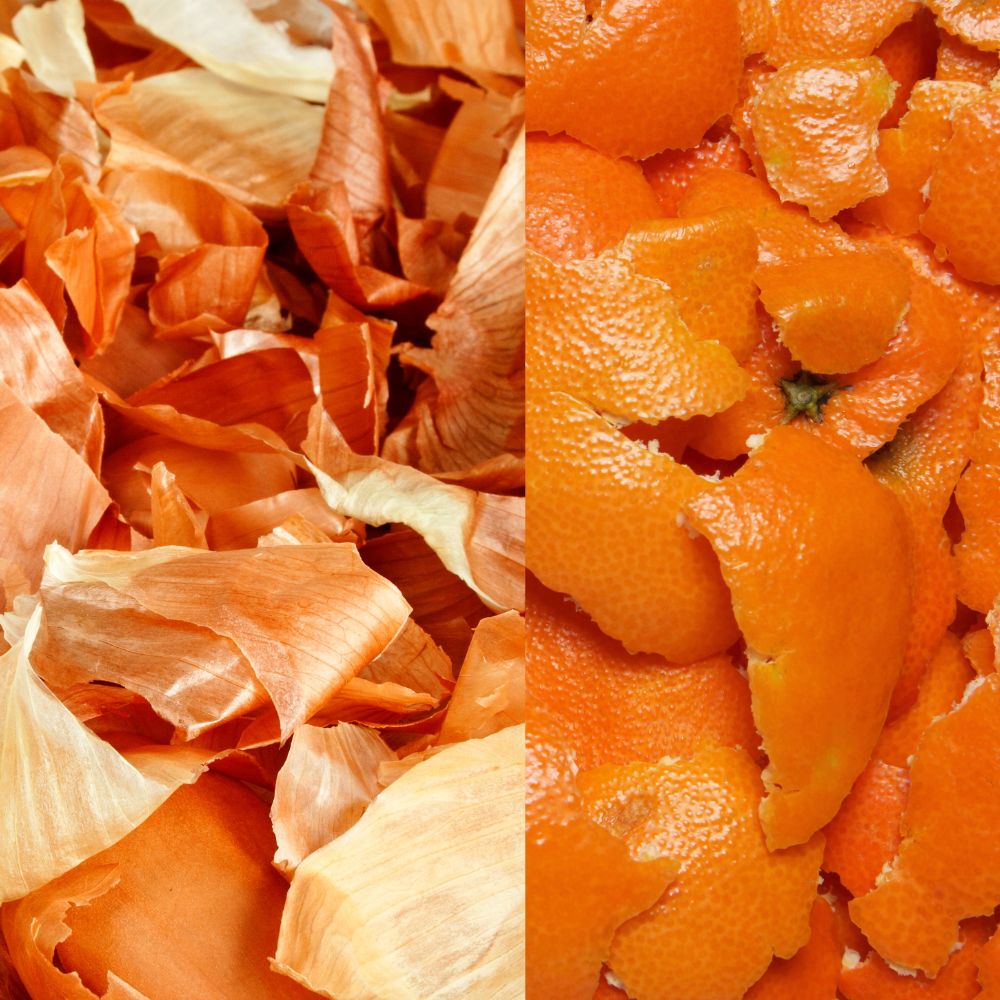 Citrus peels and onions (in large amounts)