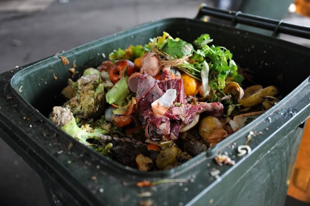 Are you throwing away more food than you think you are?