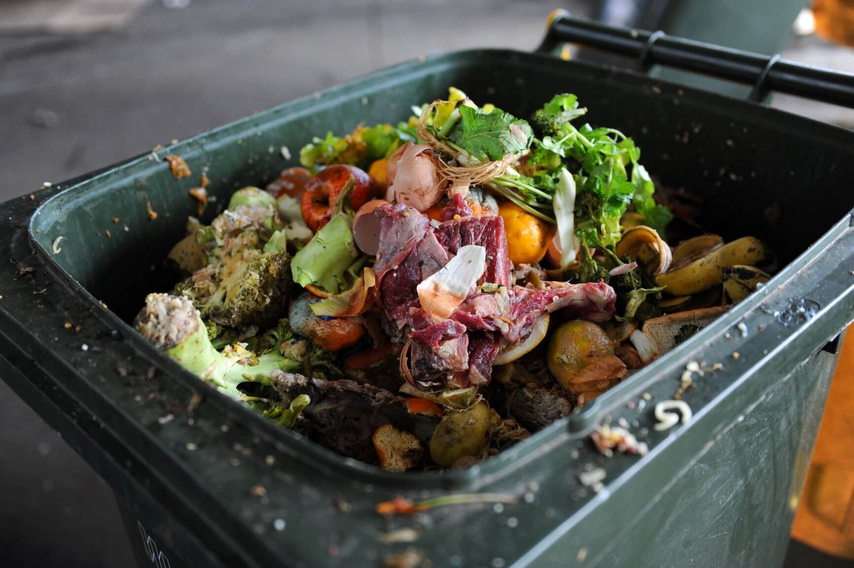 Searching food. Самман блюдо. Throw food. Дандур Нор фуд. Food throwing away.