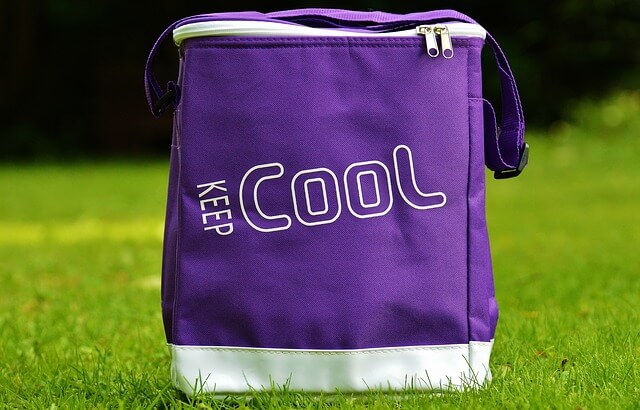 cooler-bag-819092_640