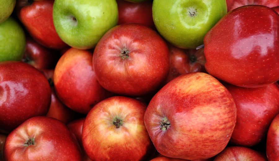 Apples