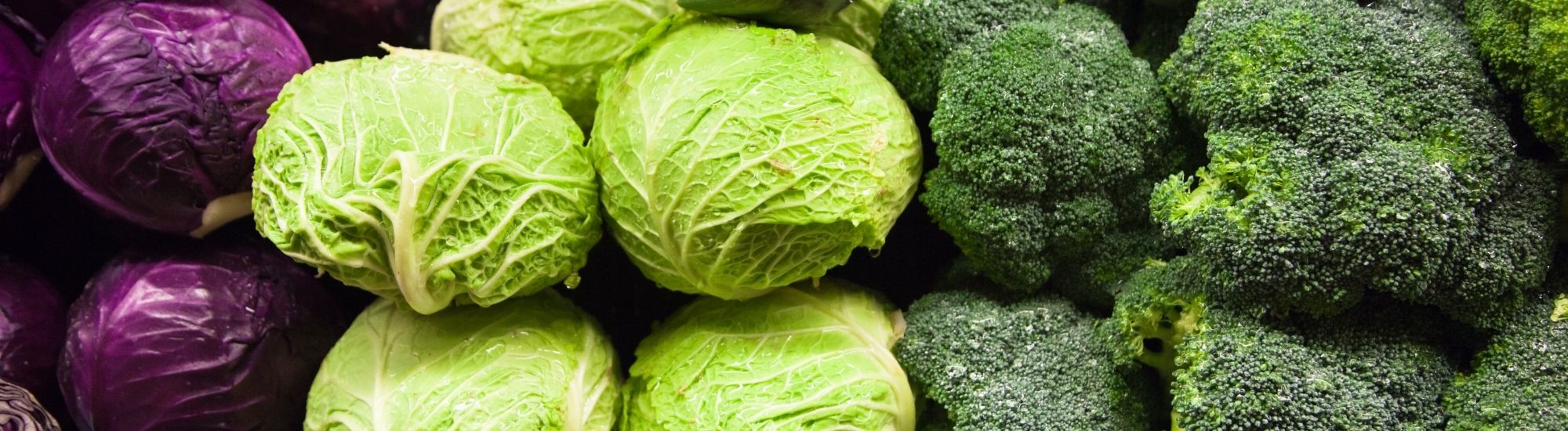 Autumn-produce-guide-blog-banner