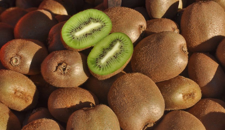 Kiwifruit