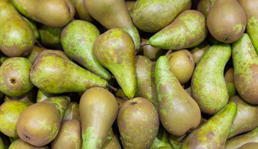 Pears