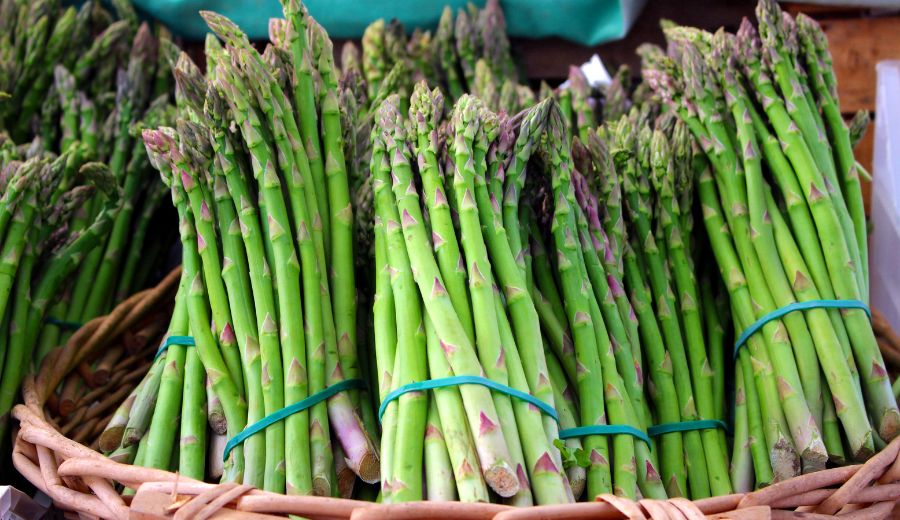 Asparagus