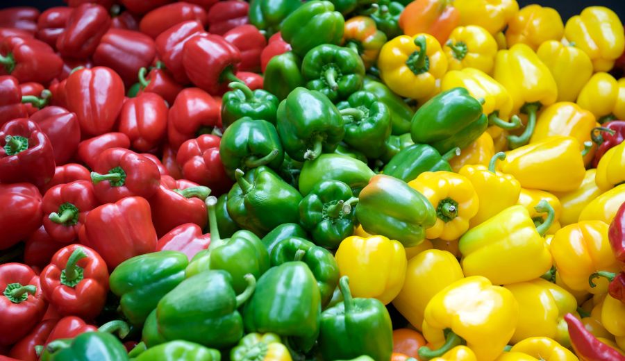 Capsicums