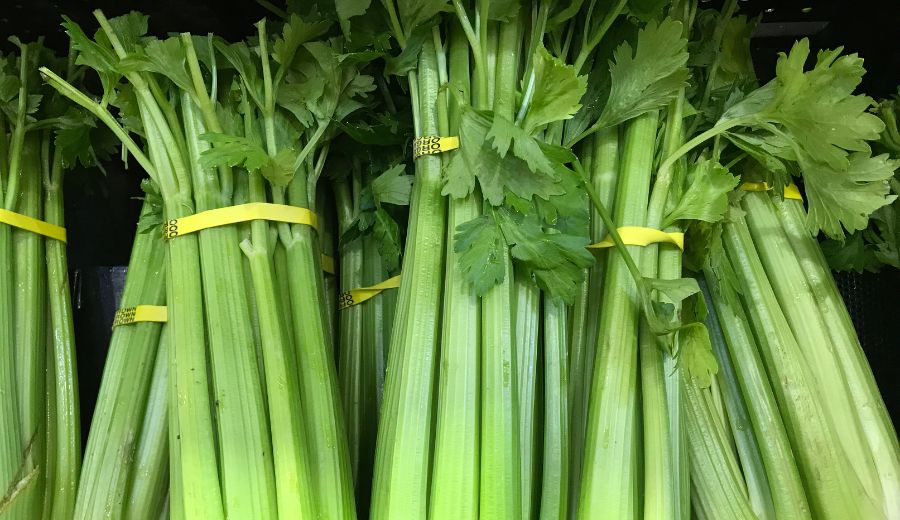 Celery