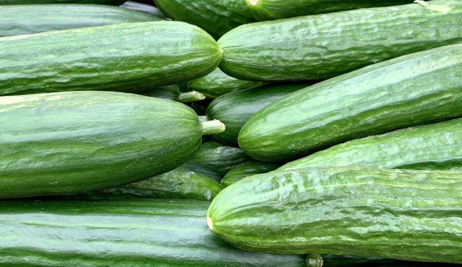 Cucumbers