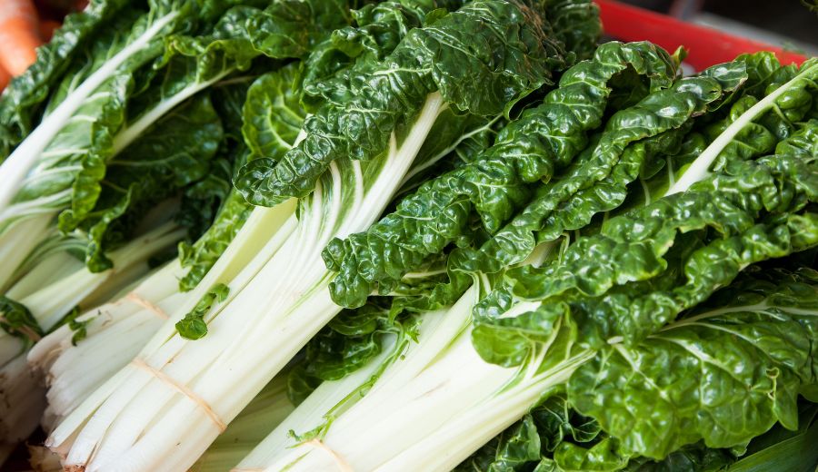 Silverbeet