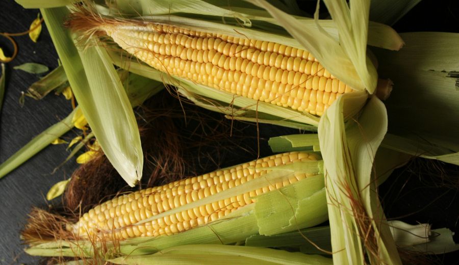 Sweetcorn