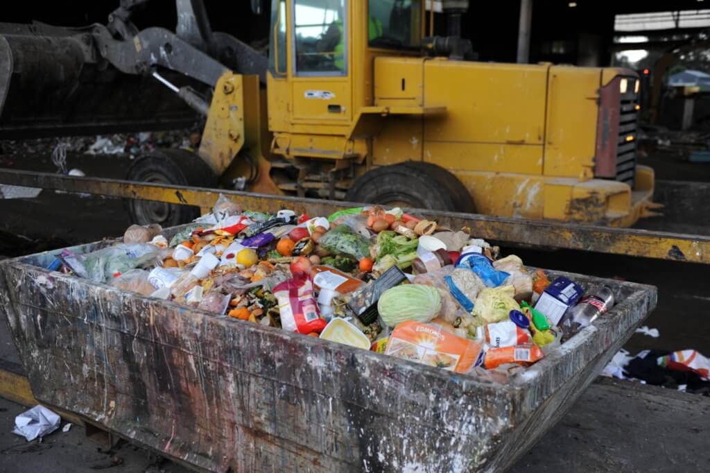 What is the total amount of food wasted in NZ?