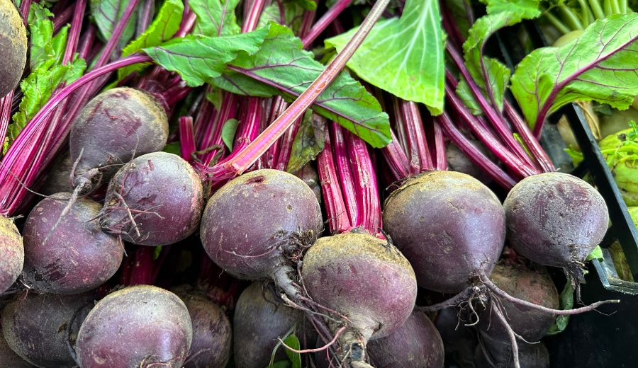 Beetroot