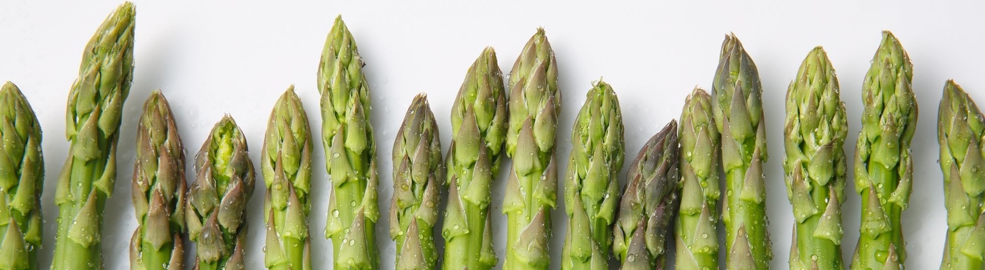 spring-produce-season-blog-banner