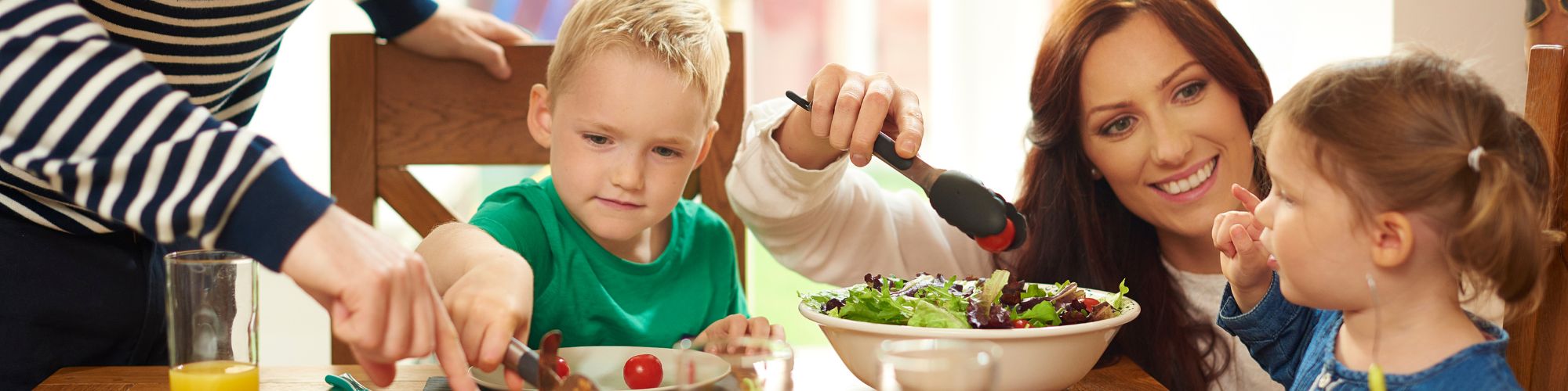 Banner-meet-our-meal-planning-heroes