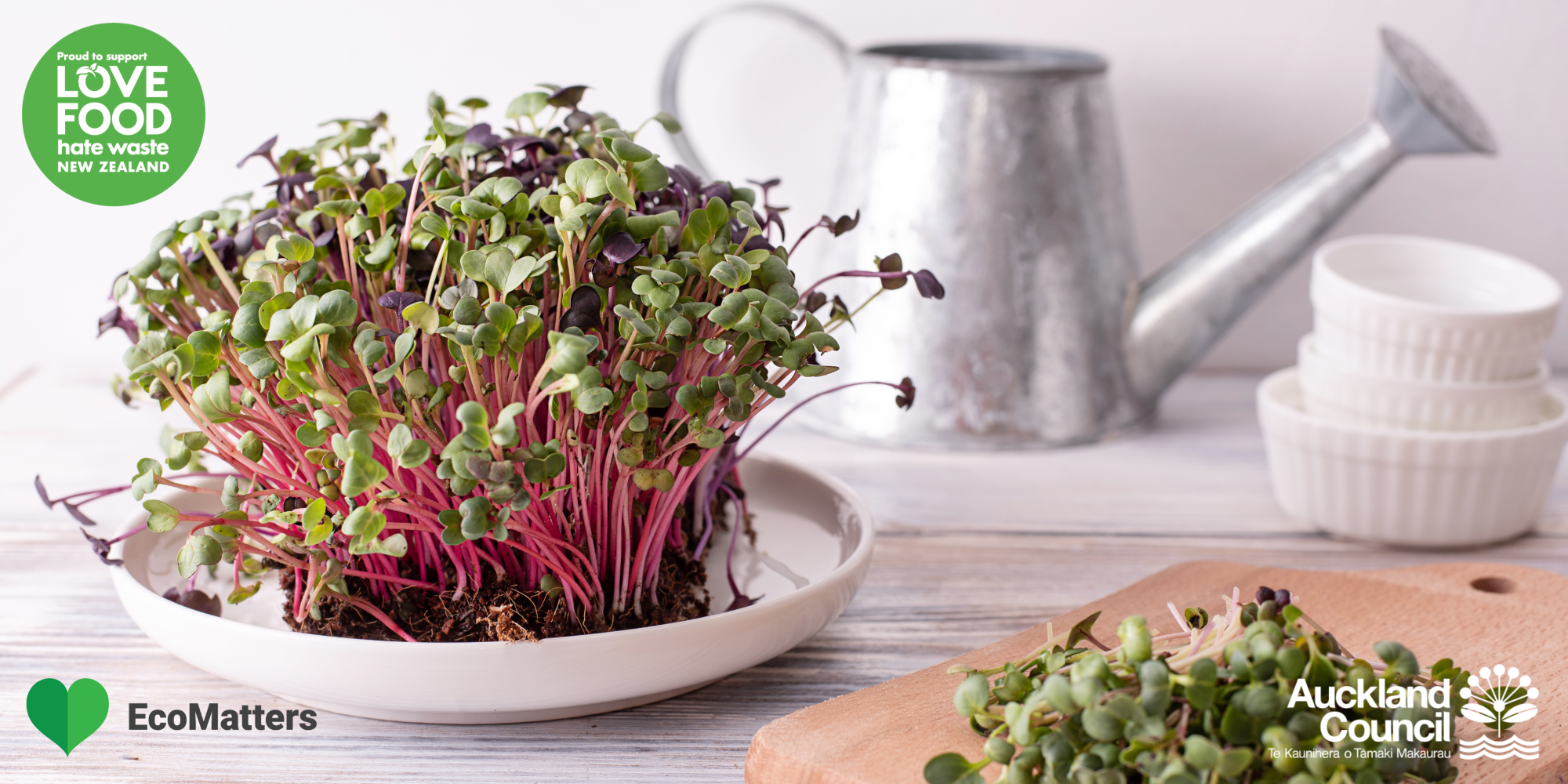Love Food Hate Waste workshop: Microgreens & Salads – Pakuranga