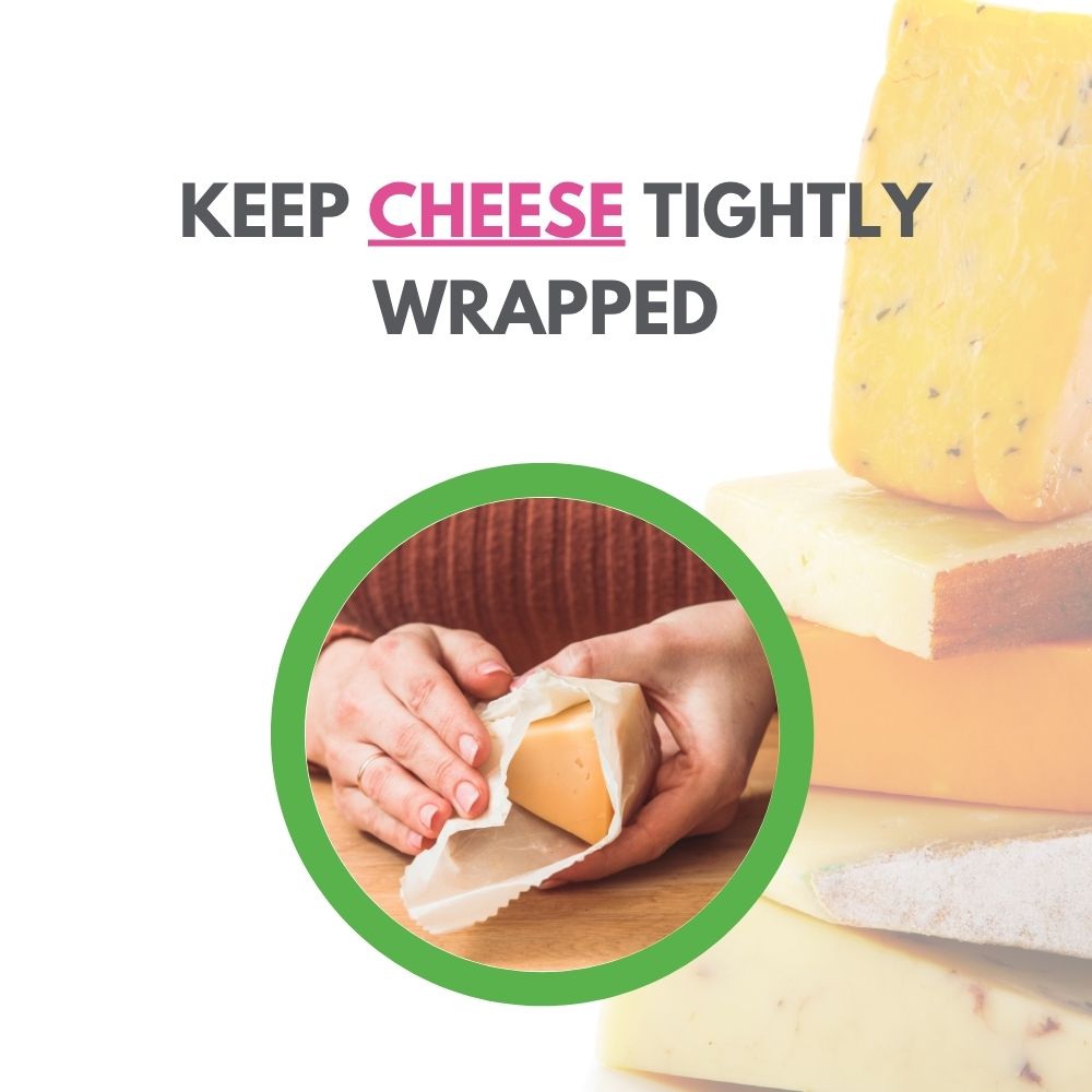 Cheese