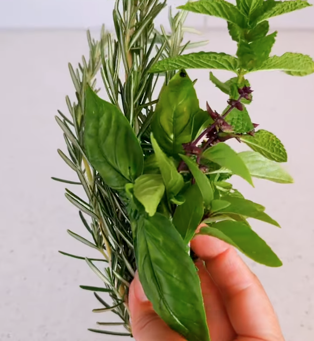 Three ways to store herbs