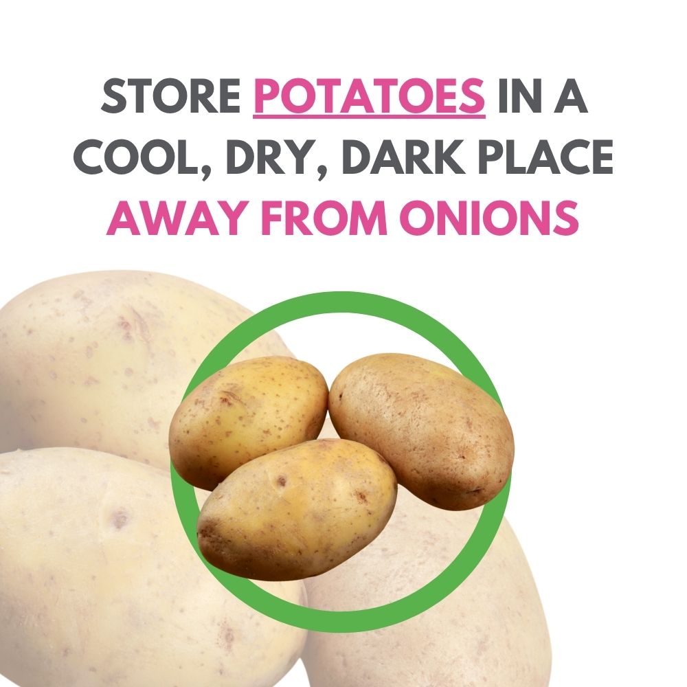 Potato