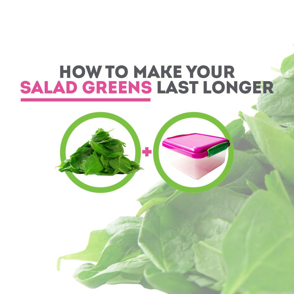 Salad Greens
