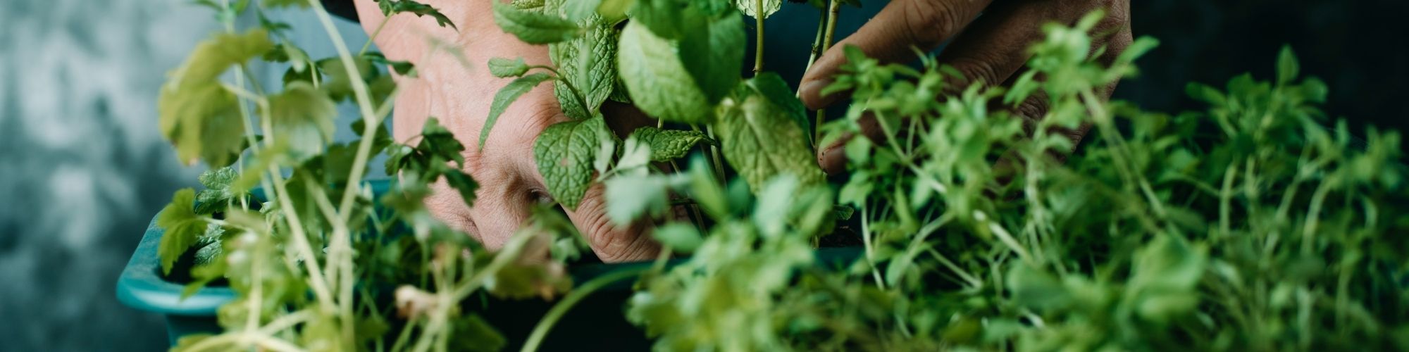 Spring-into-action-blog-banner