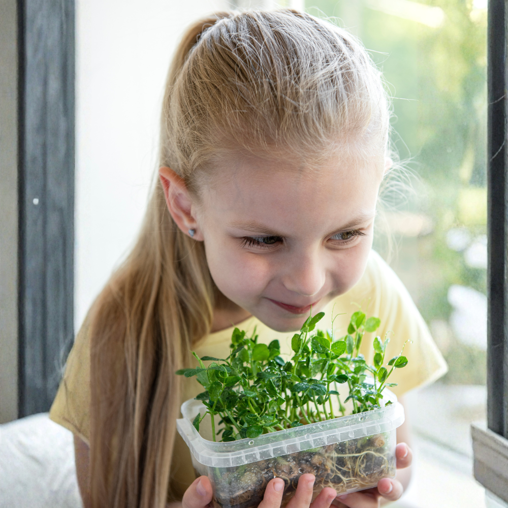 Free Microgreens Workshop for Kids – Howick