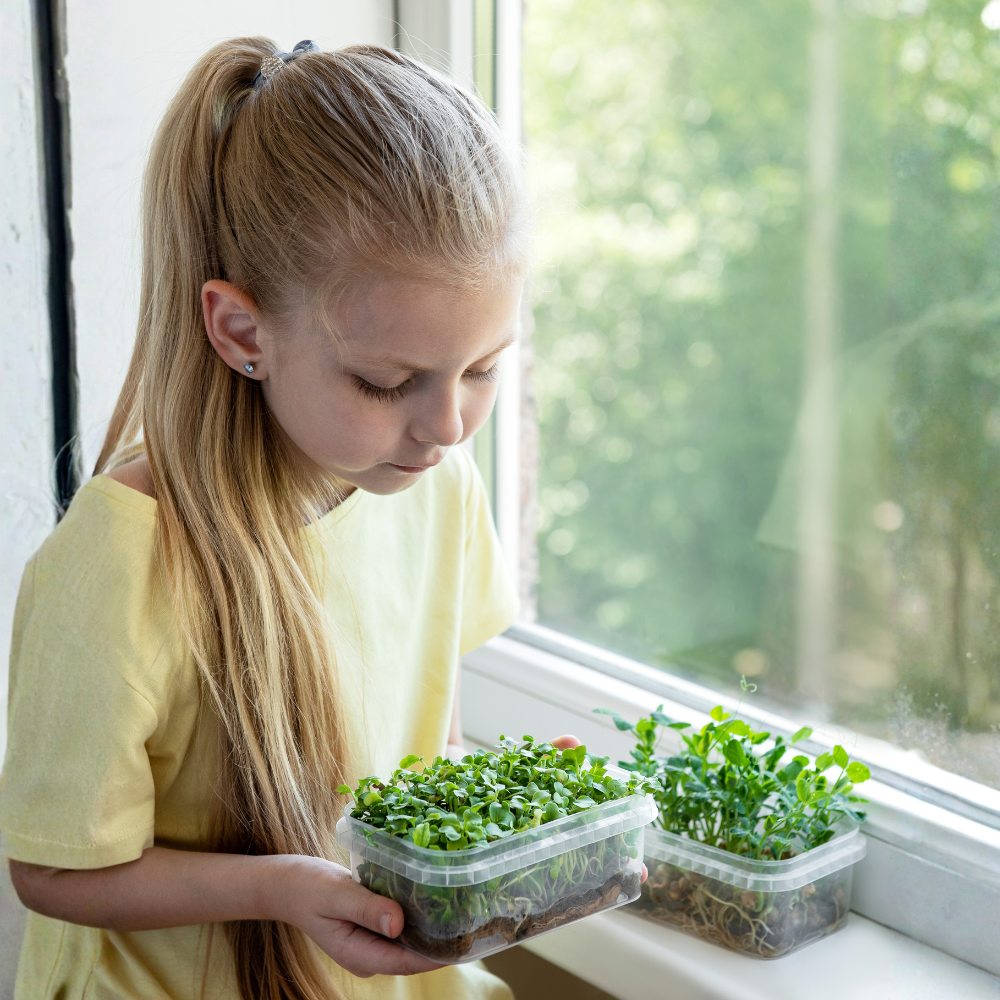 Free Microgreens Workshop for Kids – Panmure