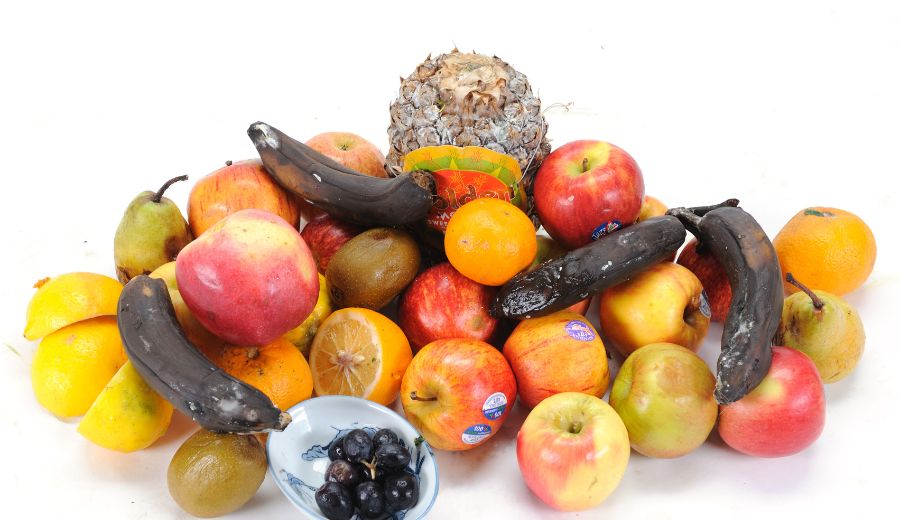 Fruit